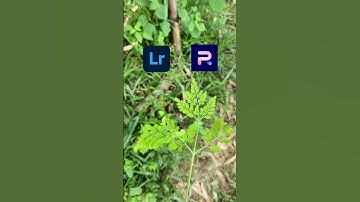 Blur image background/Mobile photo editing tutorial Lightroom colour grading #shorts #viralvideo