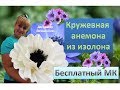 МК Ростовые цветы. Кружевная анемона из изолона. Lace anemone of isolon eva