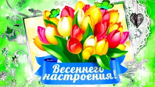 Тюльпаны для тебя! Улыбнись! Весеннего настроения! - Музыкальная открытка с пожеланиями для друзей!