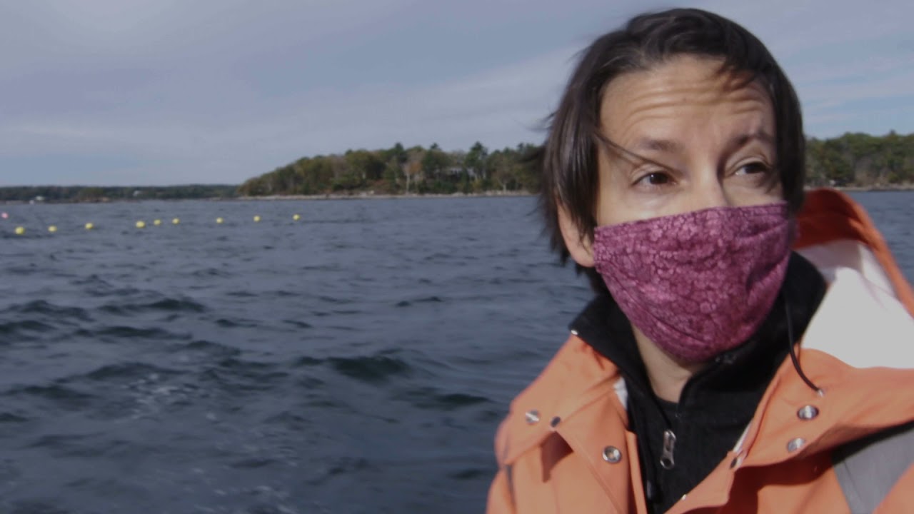 Our Beautiful Planet - The Superpowers of Seaweed