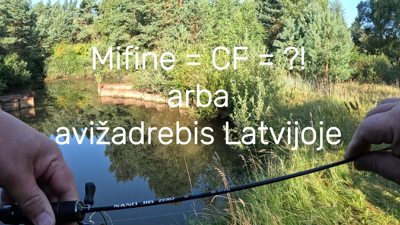 mifine=CF=?! arba avižadrebis Latvijoje