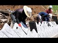 大雨で崩壊した農地を復旧する全工程 / 間知ブロック設置・土質改良・植生保護