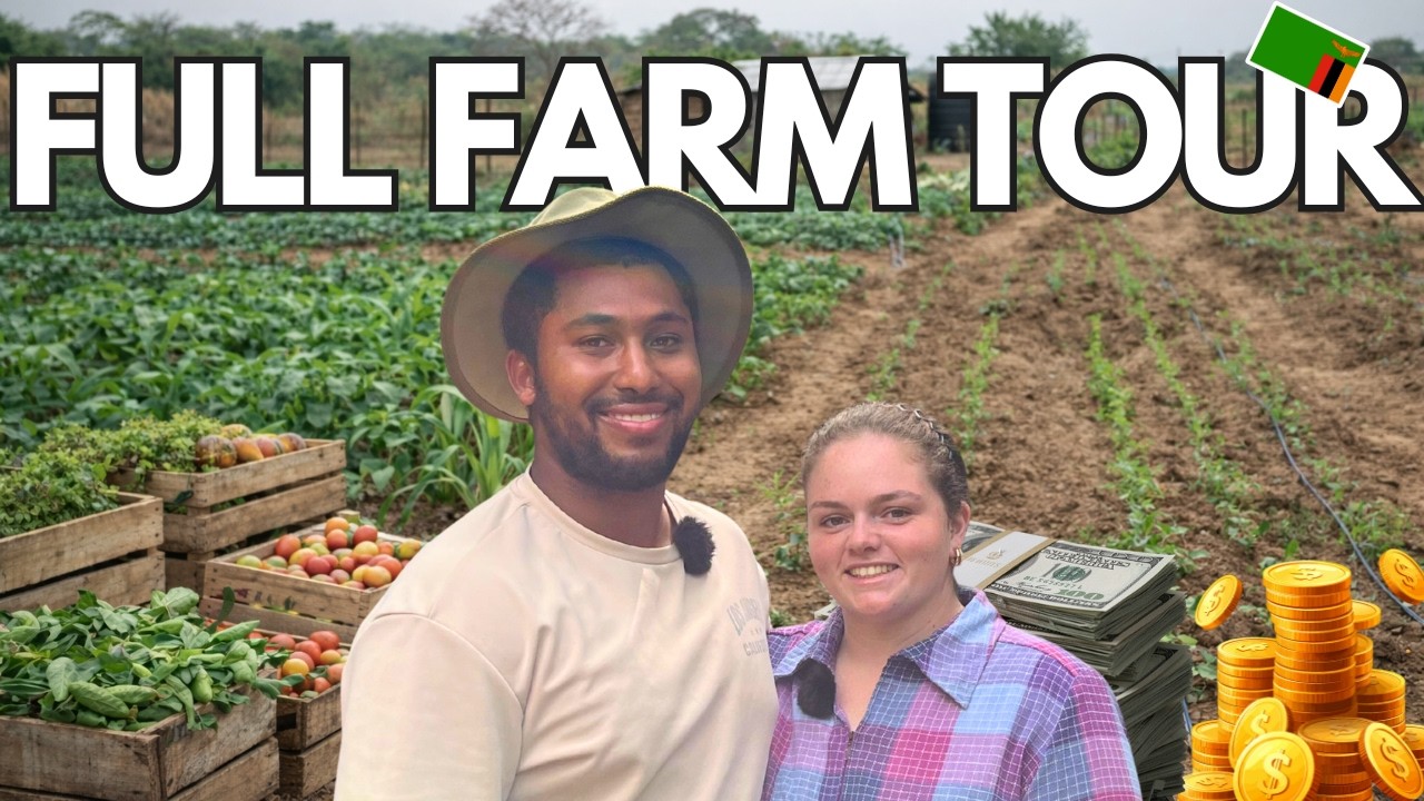 They Left the UK to Start a Farm in Zambia… Here’s the Reality