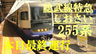 総武線特急しおさい　255系　本日最終運行