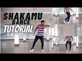 Shakamu Dance Tutorial by Afro Champ 🇨🇲