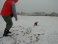 malu loves snowball