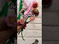 No Watering Only Earning Craft #shorts #craft #diy
