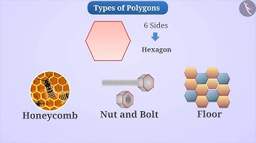 Types of Polygons | Part 1/3 | English | Class 6