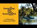 Sampling is beautiful  le priscope  septembre 2018