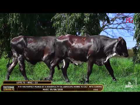 LOTE 72