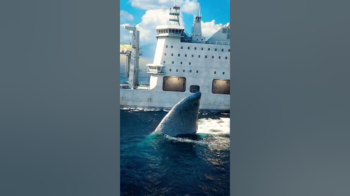 #Attaque de requin #requins #megalodon #monster #monstre #requin #plusgrosrequin #navire #ocean