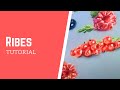 How to draw ribes with soft pastels step by step tutorial for beginners