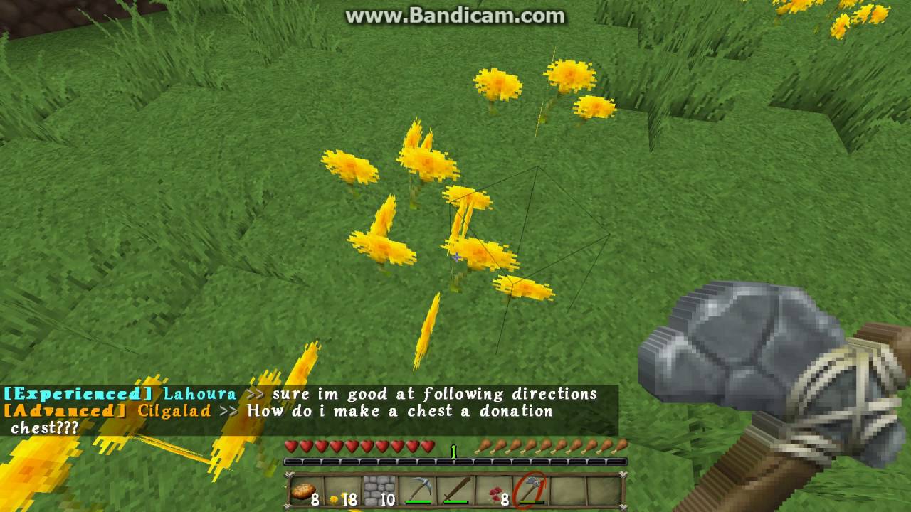 Minecraft Survival with ProMinecraftYT