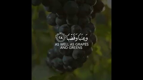 من سورة عبس قران كريم