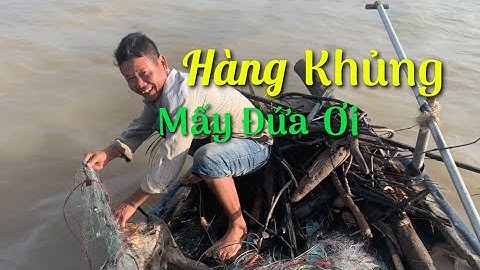 Ra sông hậu quét TÔM CÀNG XANH dính 1 con đáng 1 con | Cù Lao Dung Vlogs #132