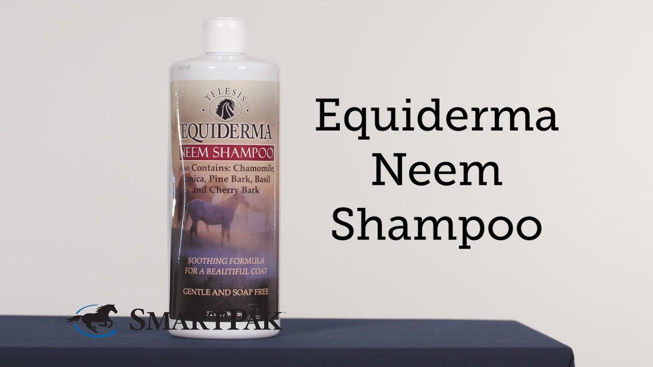 Equiderma Neem Shampoo Review YouTube