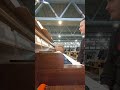 messa 17 11 2024 ore 9 e 30