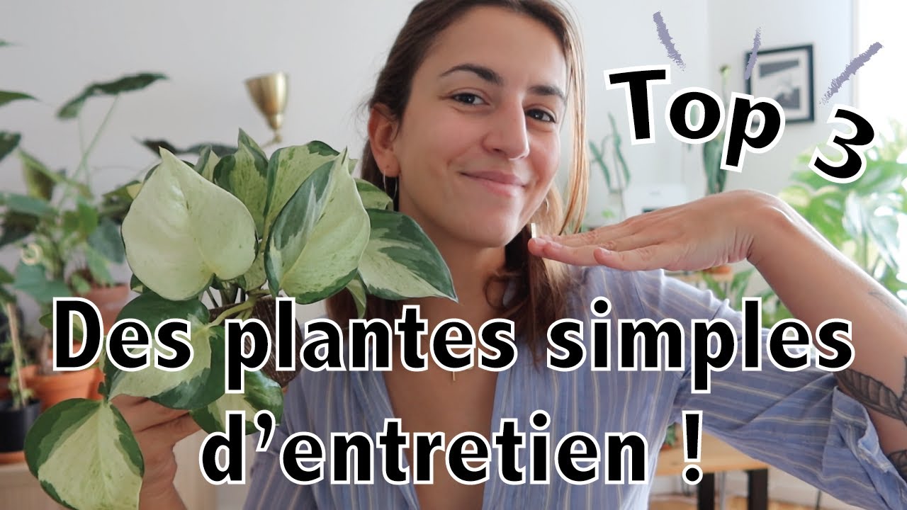 Comment bien arroser ses plantes d'intérieur? - Vert Bobo