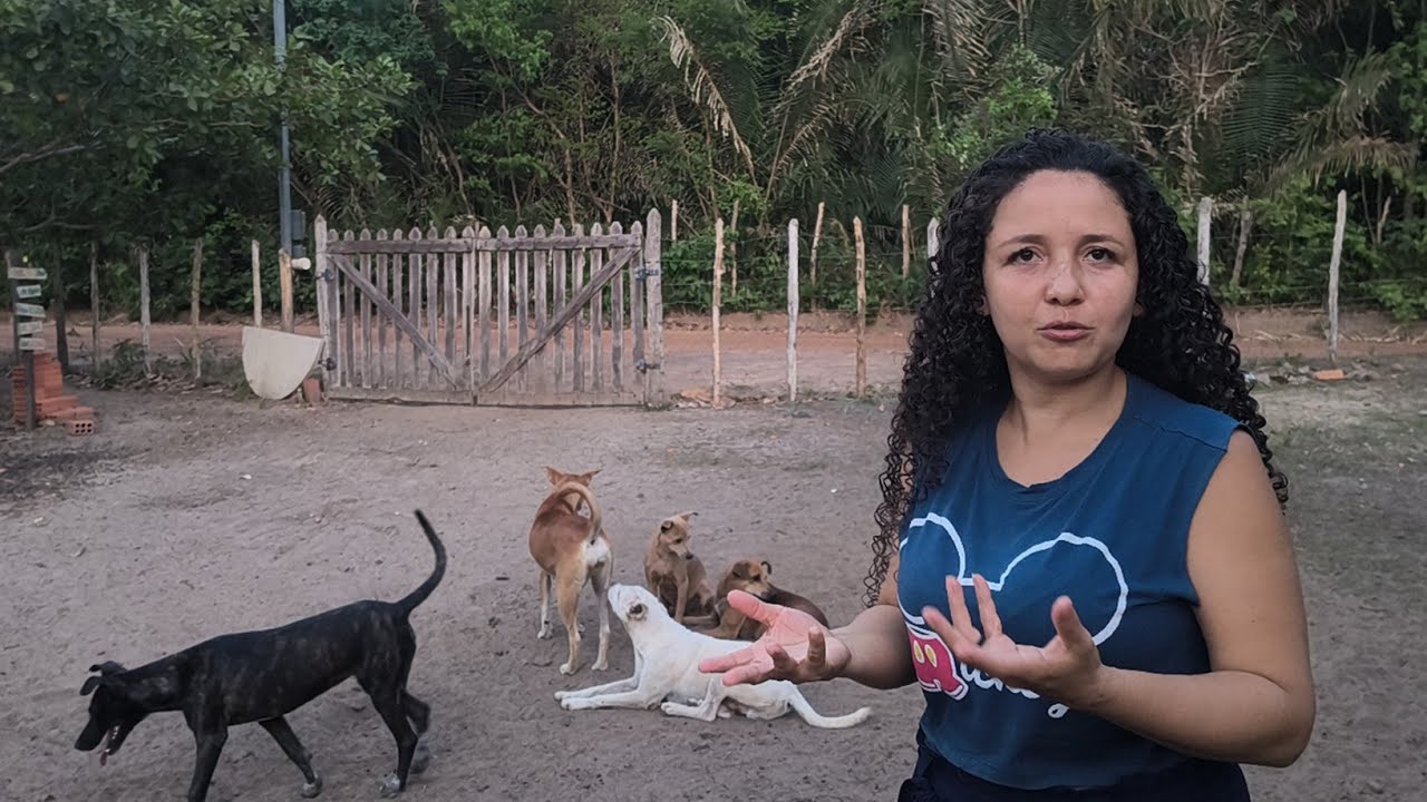 Atualização: afinal, o que aconteceu com os cachorros do nosso vizinho que morreu