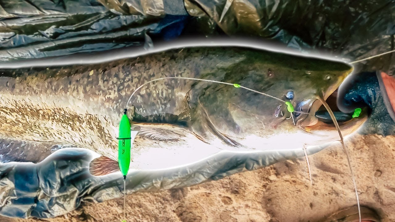 DEUTSCHLAND-WALLER im SOMMER | Alles OHNE BOOT