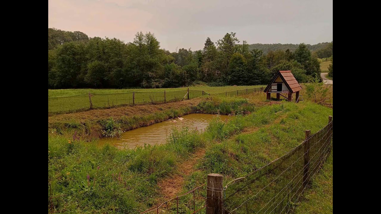 Pravimo patkošinjac - Kako napraviti kokošinjac na ribnjaku