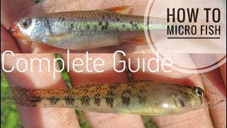 How to Micro Fish  How to catch Minnows using Mini Fishing Pole 
