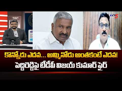 TDP Neelayapalem Vijay Kumar Fires On Peddireddy | Bugga Mutt Land Case | TV5 - TV5NEWS