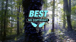 Nasko - Definite (Best No CopyRight Music)