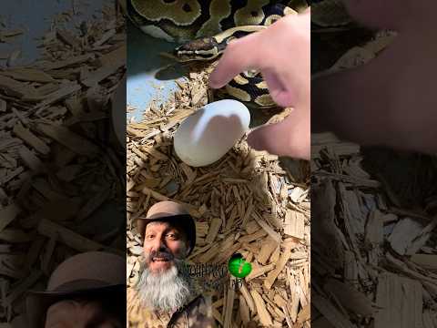 We found another