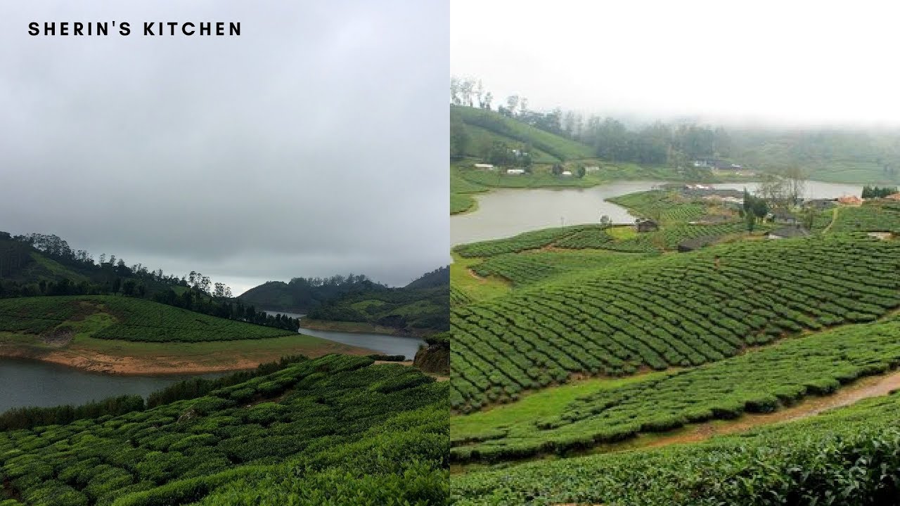 Meghamalai Tourist Spots Tamil Nadu Hill Stations | Sherin's Kitchen