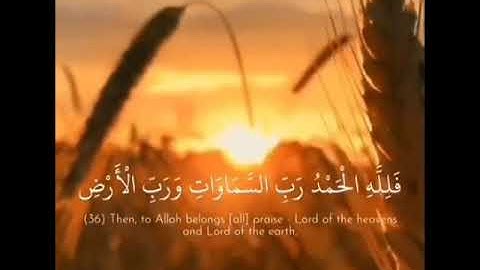 سورة الجاثية من الآية 36 إلى الآية 37 قرآن كريم