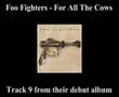 Foo Fighters - For All The Cows