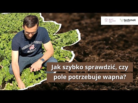 Wideo: Jak mogę przetestować moją glebę?