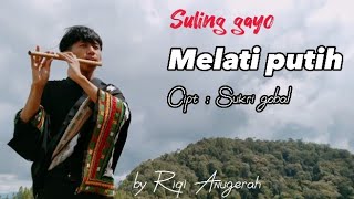 Suling Gayo terbaru 2023 MELATI PUTIH