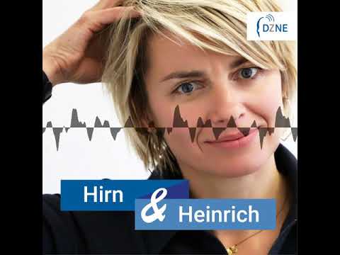 Hirn & Heinrich