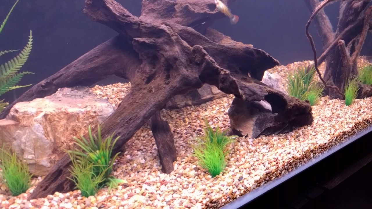 caribsea bio magnet clarifier