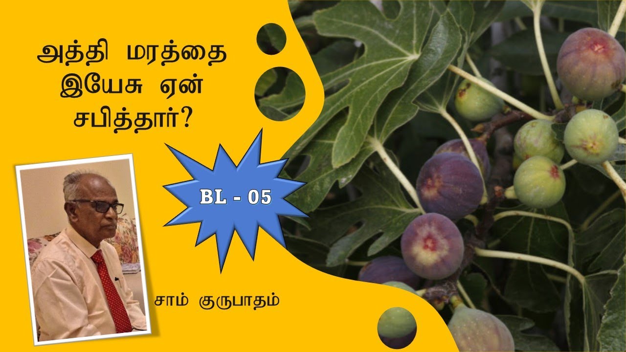 Why did Jesus curse the fig tree  Tamil Christian Message