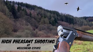 High Pheasant Shooting | Wellshead Estate | Exmoor Shoot