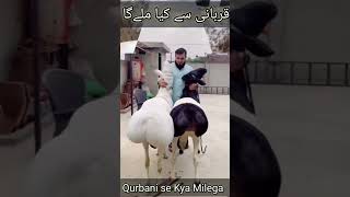 क़ुरबानी करने से क्या मिलेगा || Shorts Qurbani Video ||