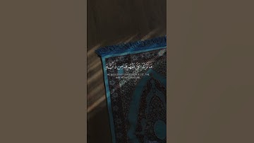 تلاوه من سورة فاطر|بصوت الشيخ ياسر الدوسري🎧♥️#trending #quran #قران_كريم #راحة_نفسية #قرآن