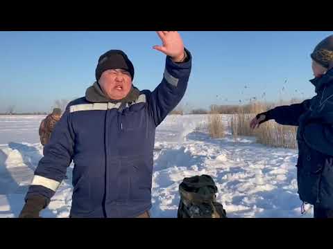 Video: Суукка терини даярдоонун 8 жолу