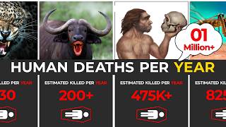 Top 30 Deadliest Animals in the World (By Human Deaths Per Year)