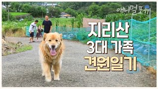 지리산 해발 300미터 그림 같은 옛집엔 3대 동물 대가족이 산다! 🌿 | KBS 반려동물극장 240329 방송