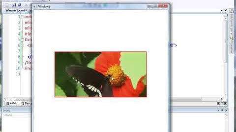 Win Video WPF Intro To Video
