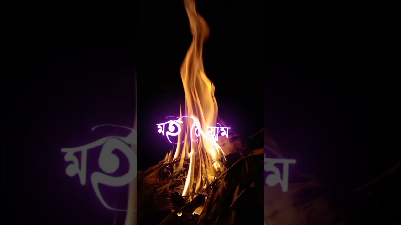 tumak hidoy ate loy jam status 🔥