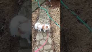 Gr Touching Quota On