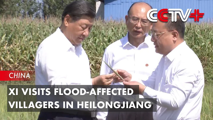 Xi Visits Flood-Affected Villagers in Heilongjiang - DayDayNews