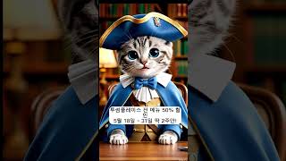 5월달 이벤트 50%할인
