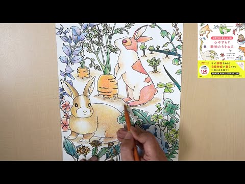 自律神経を整えるぬり絵 をやってみよう 心やすらぐ動物たち編 Youtube