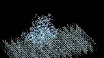 protein adsorption on COOH surface